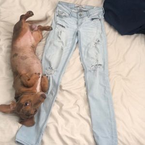 Hollister skinny jeans